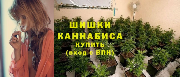 стаф Абдулино