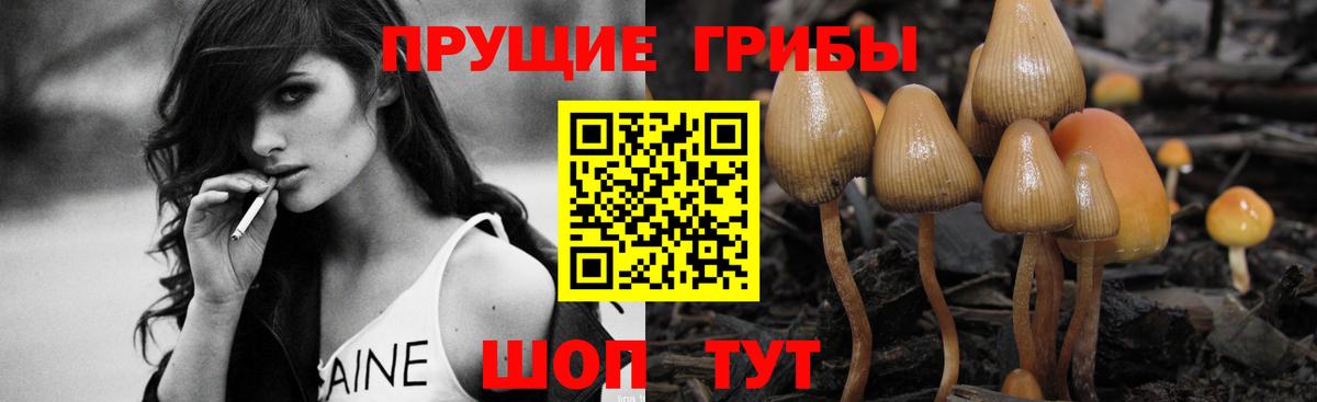 Псилоцибиновые грибы мухоморы Заринск