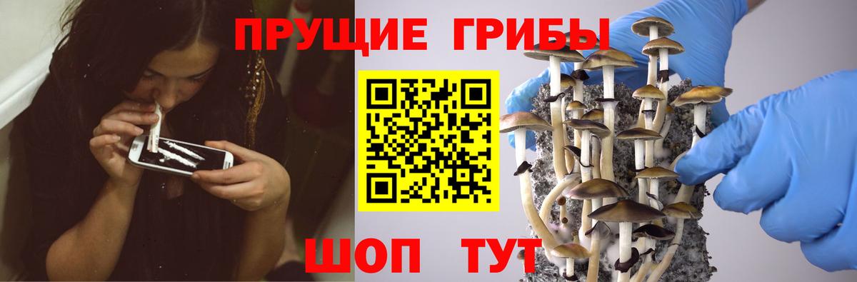 Заринск  Галлюциногенные грибы мицелий  Вход с VPN  Галлюциногенные грибы Cubensis 