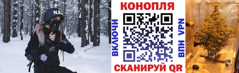 наркотики  Заринск  Марихуана ГИДРОПОН 